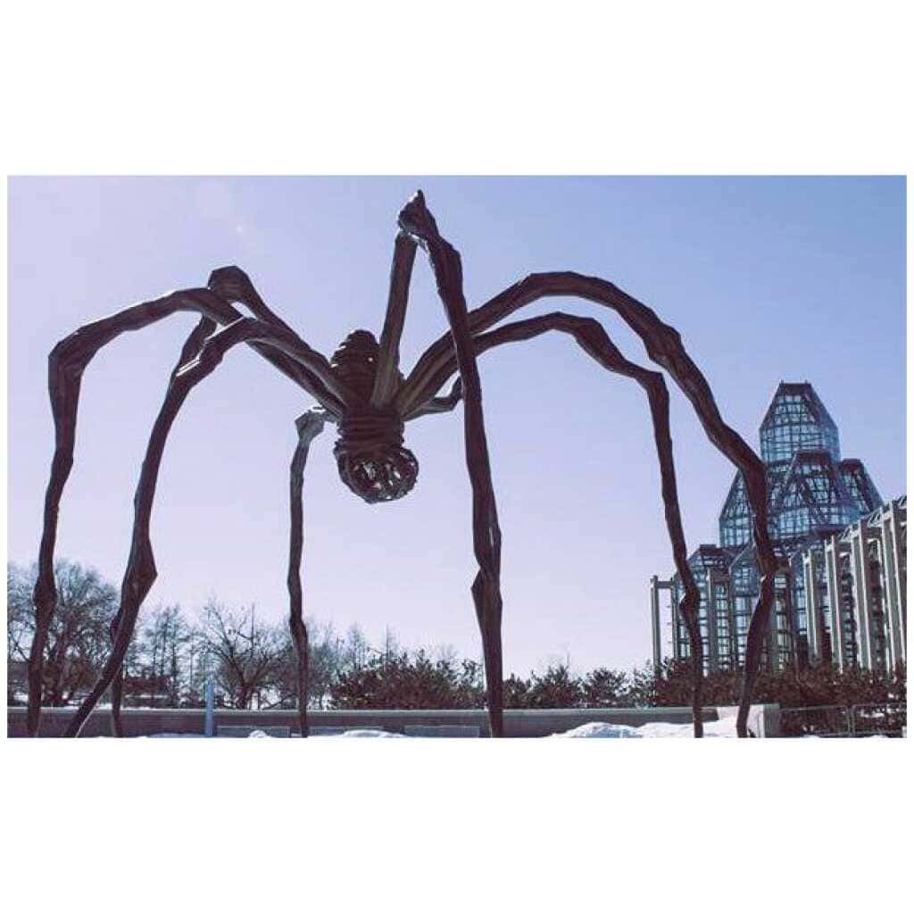 Things To Do In Ottawa Canada