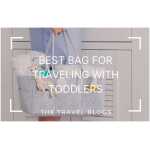 Most sensible 10 | Absolute best Bag For Touring With Little toddlers With Information