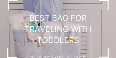 Most sensible 10 | Absolute best Bag For Touring With Little toddlers With Information