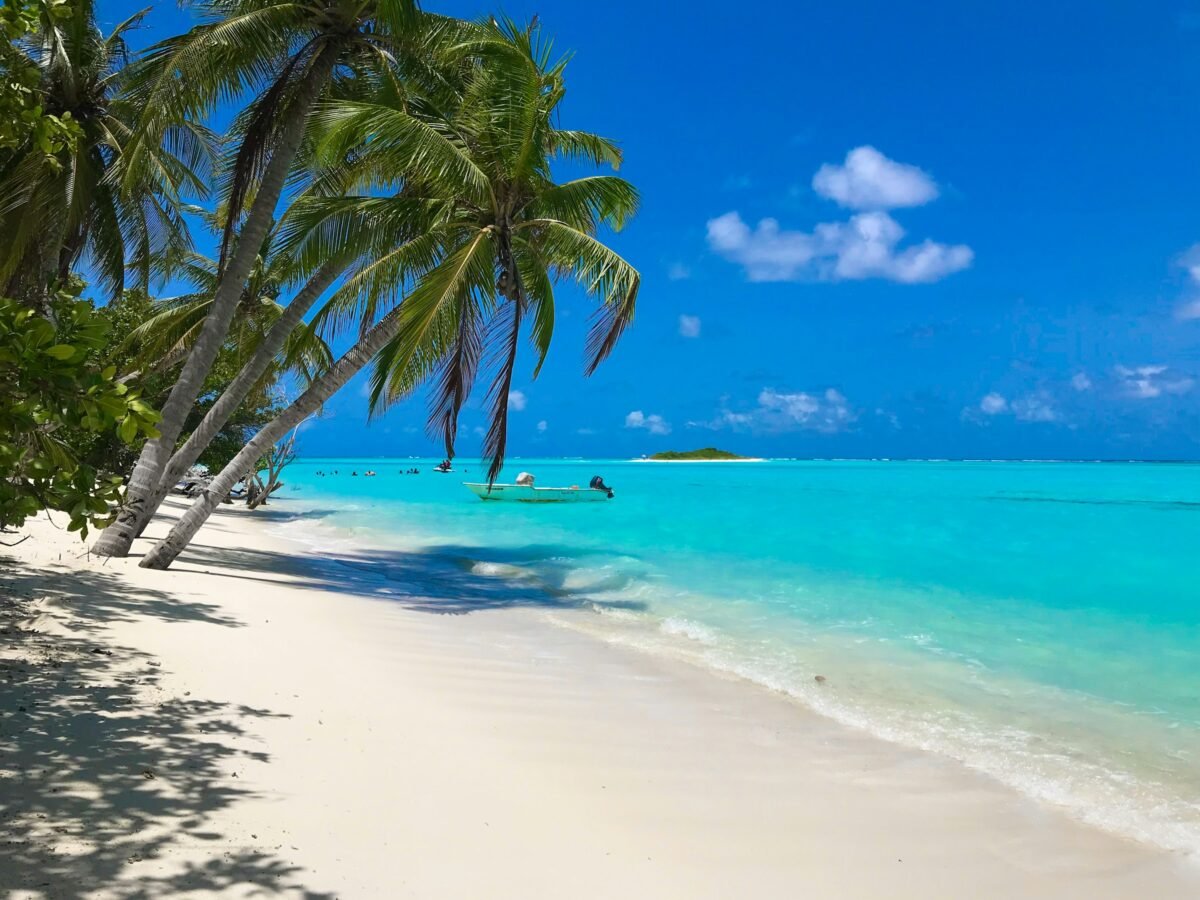 6 Simple-to-go Necessities for A Virtual Nomad