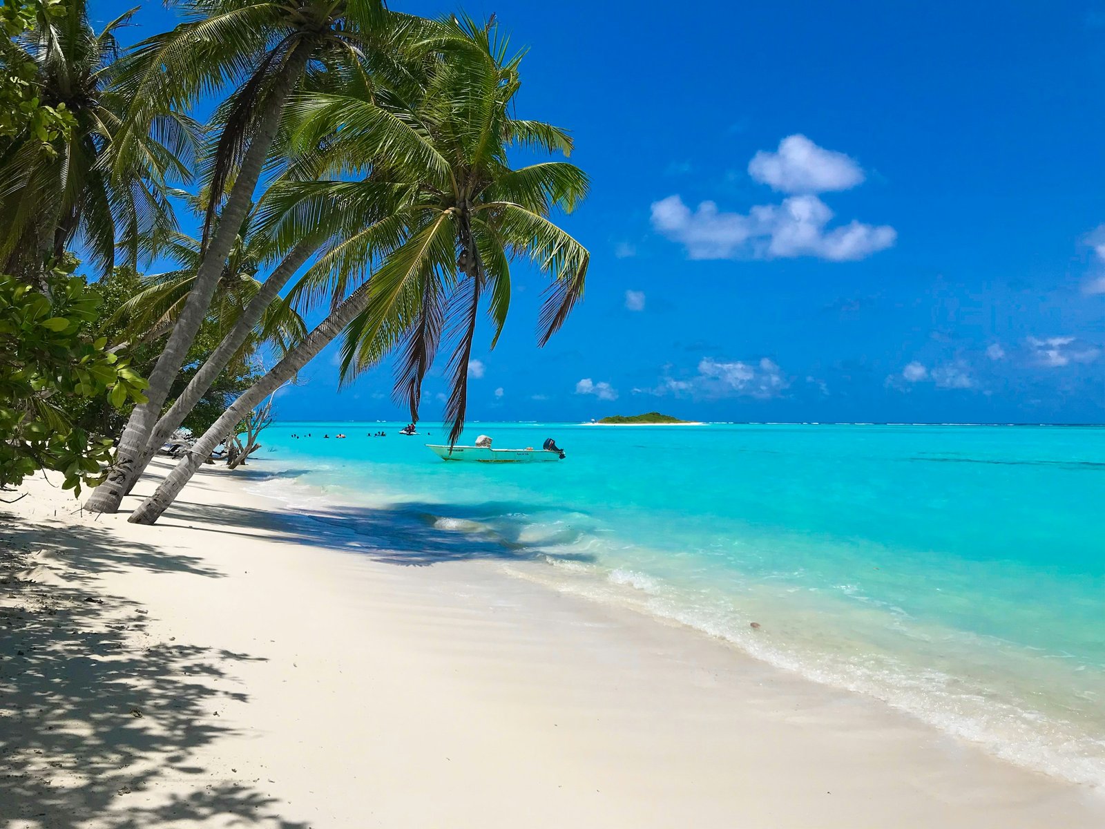 Read more about the article 6 Simple-to-go Necessities for A Virtual Nomad