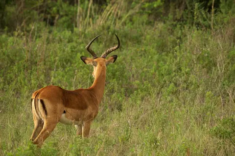 Nairobi