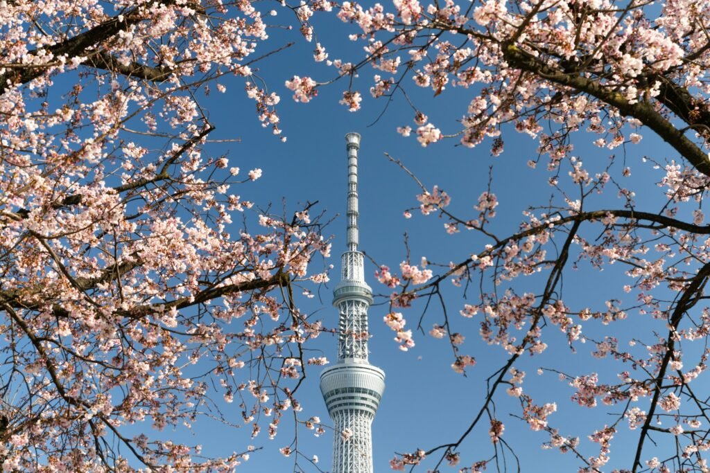 Tokyo