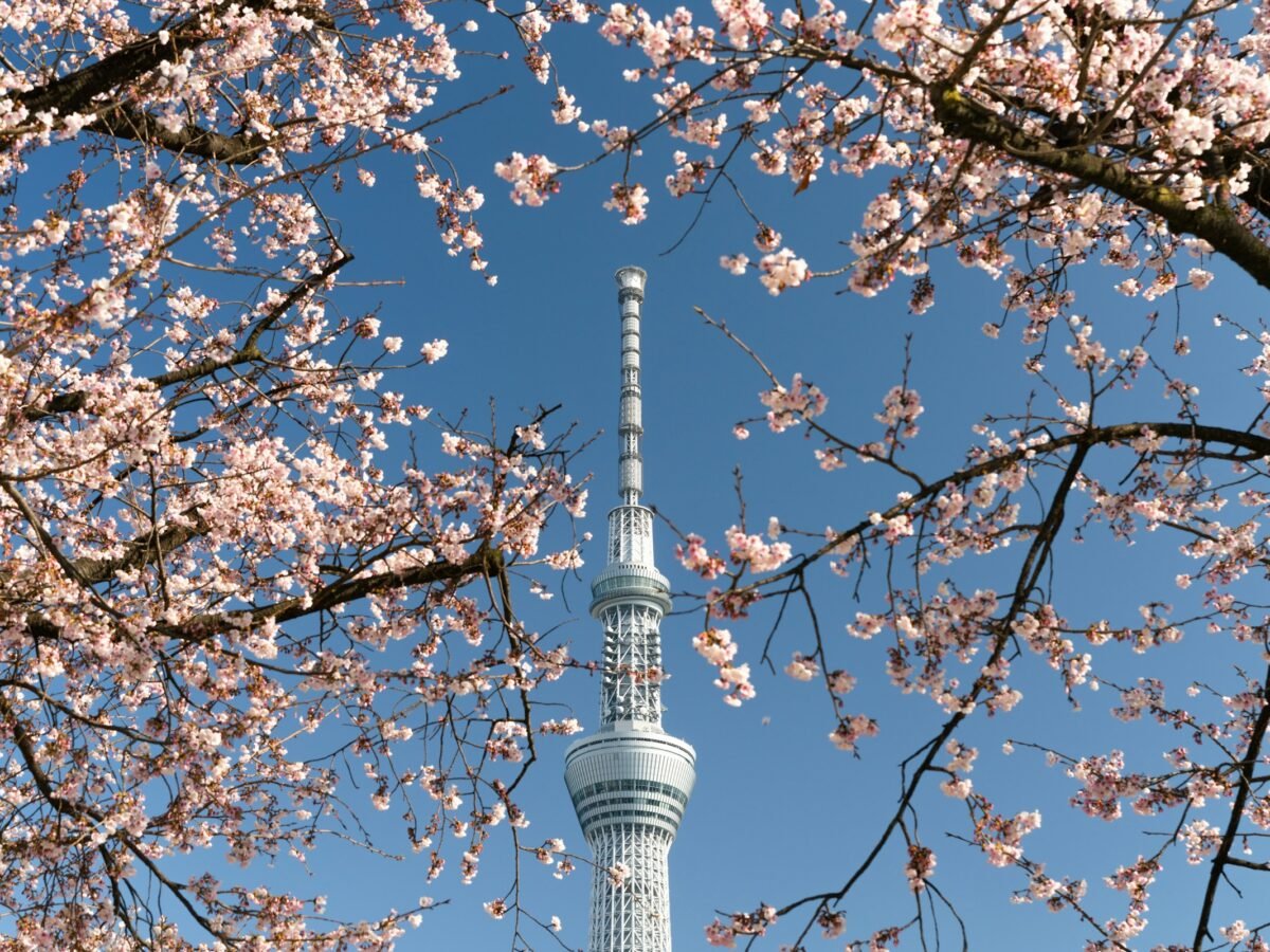 Tokyo