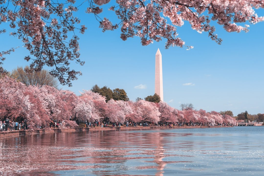Washington D.C.