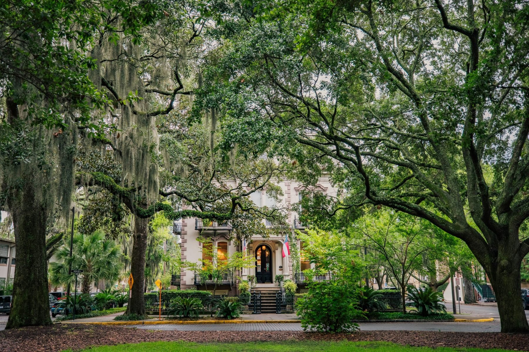 Savannah Georgia riverfront historic district oak trees