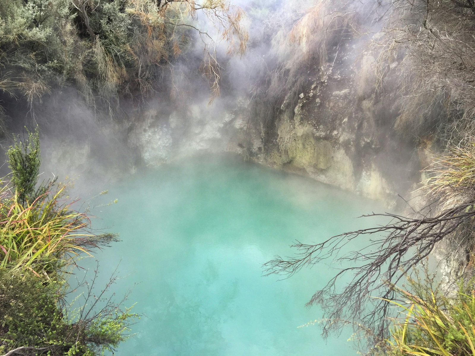 Steam rising off a natural geothermal hot spring pool at Whakarewarewa in Rotorua, New Zealand's most famous geothermal region - the same volcanic activity that feeds Te Aroha's mineral springs