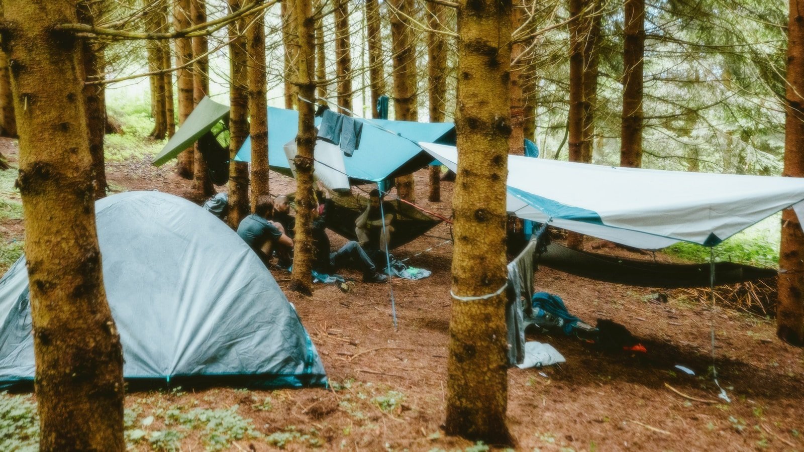 Tents and tarps set up in a dense forest for wild camping