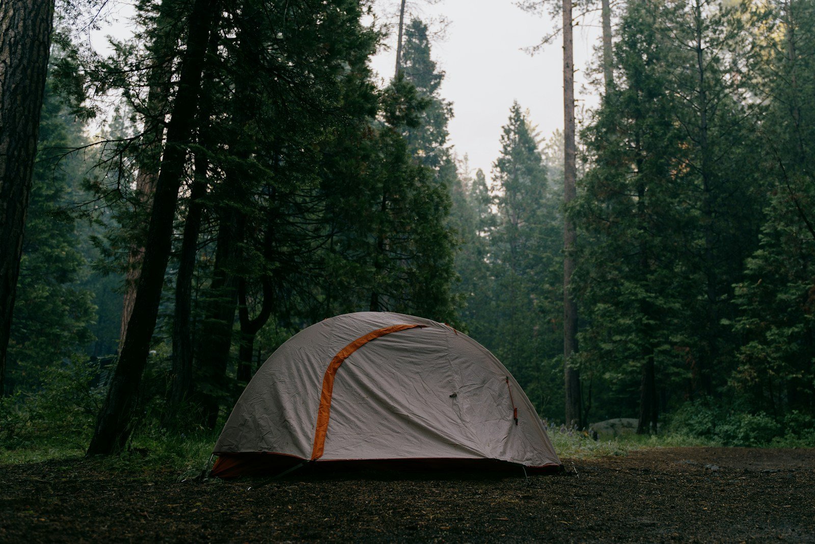 A tent pitched in the middle of a forest as a wild camping rain shelter