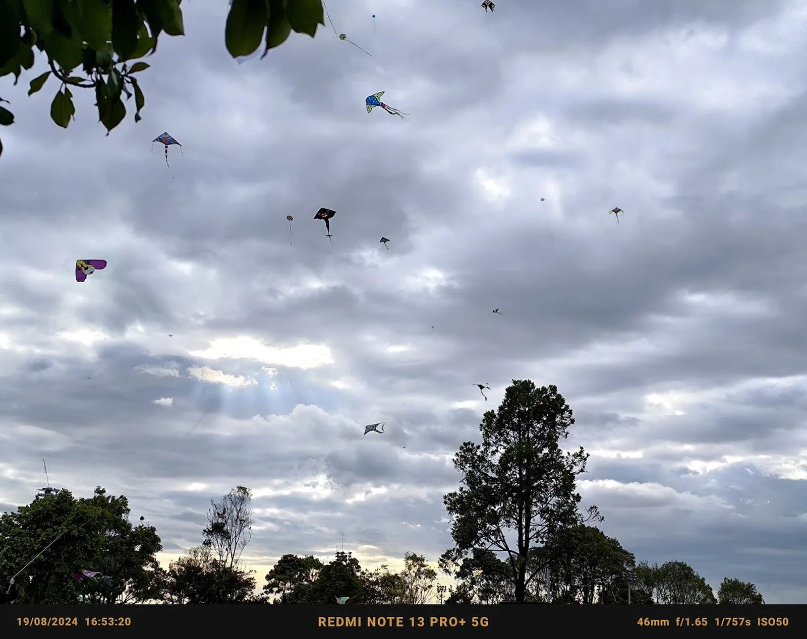 Bogota