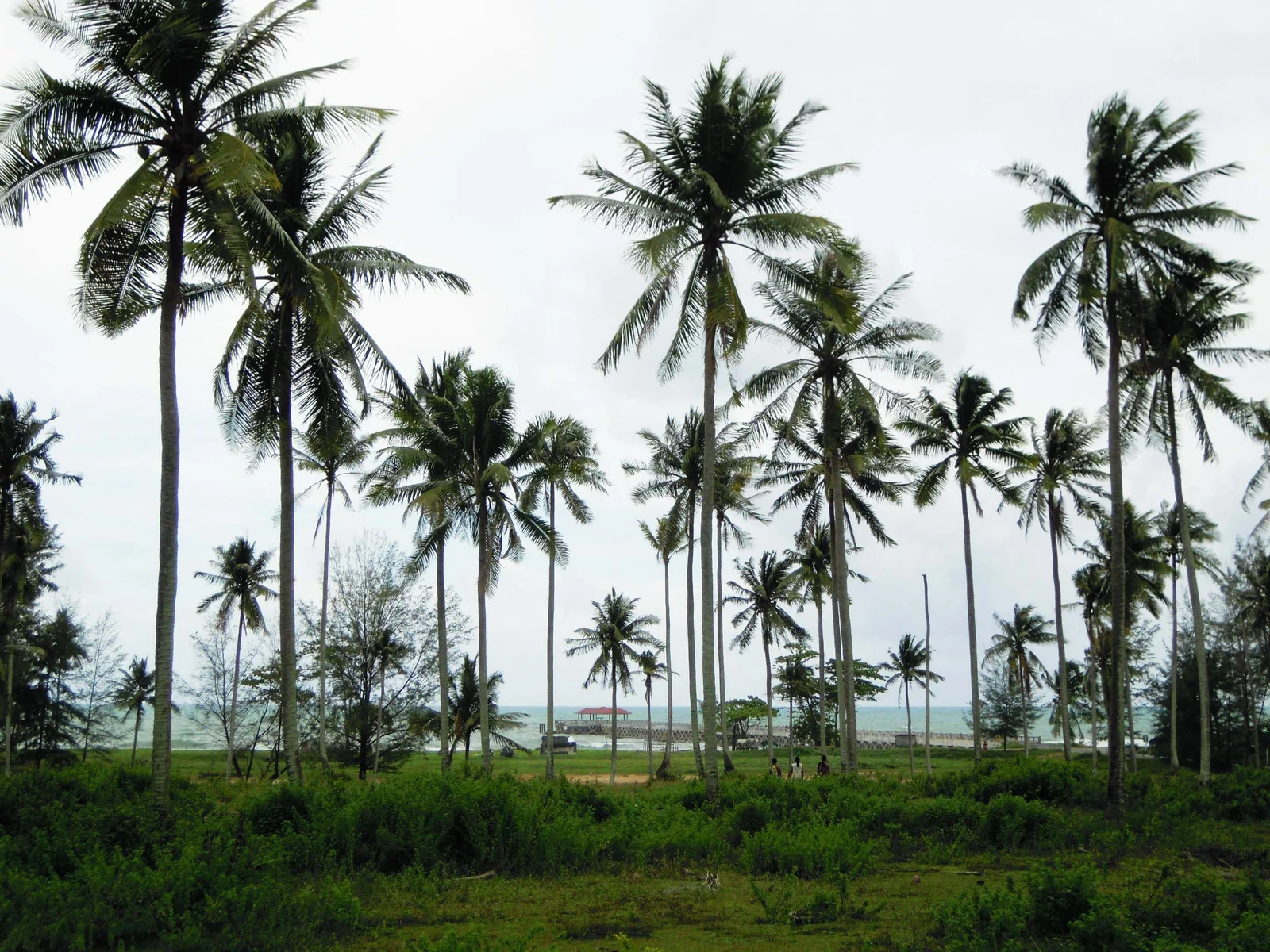 Natai Beach shoreline north of Phuket