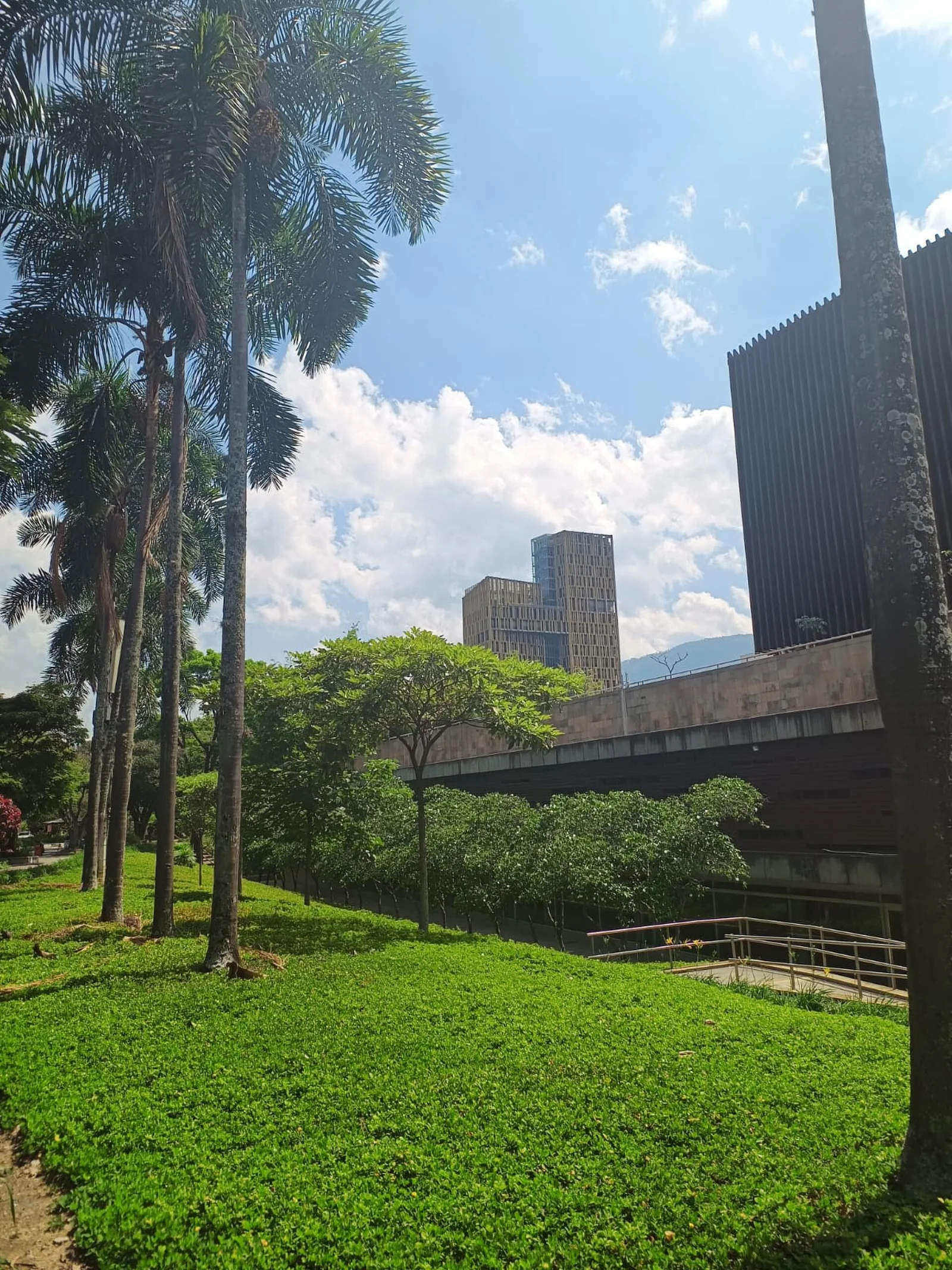 Medellin